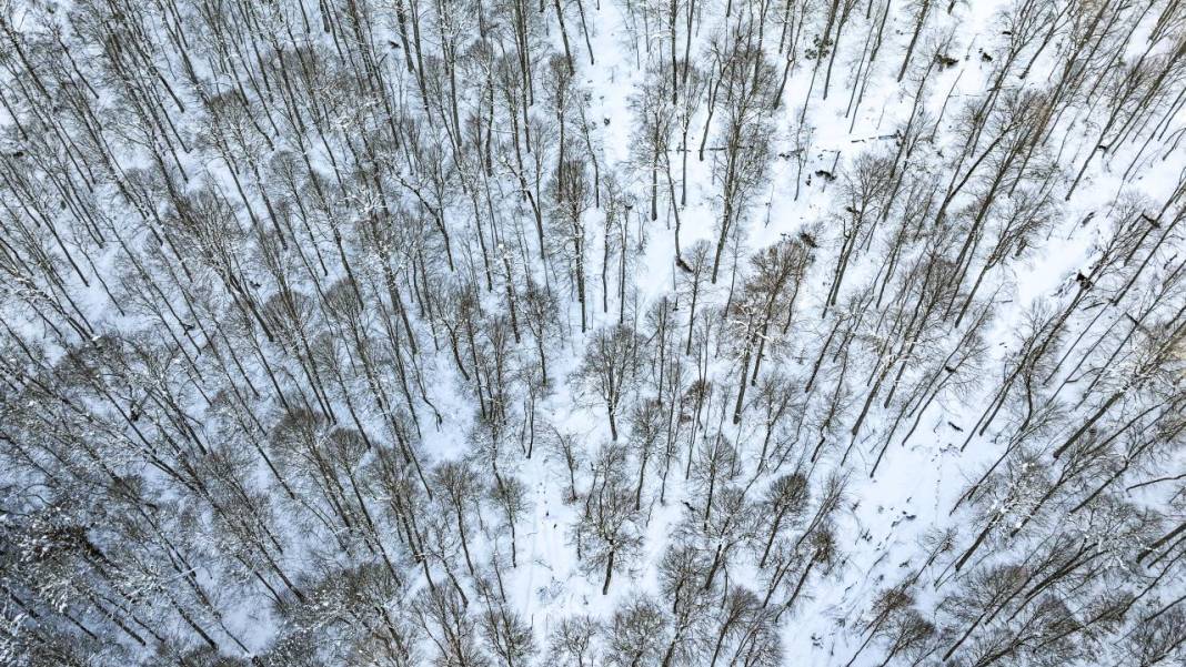 Yedigöller Milli Parkı beyaza büründü 7