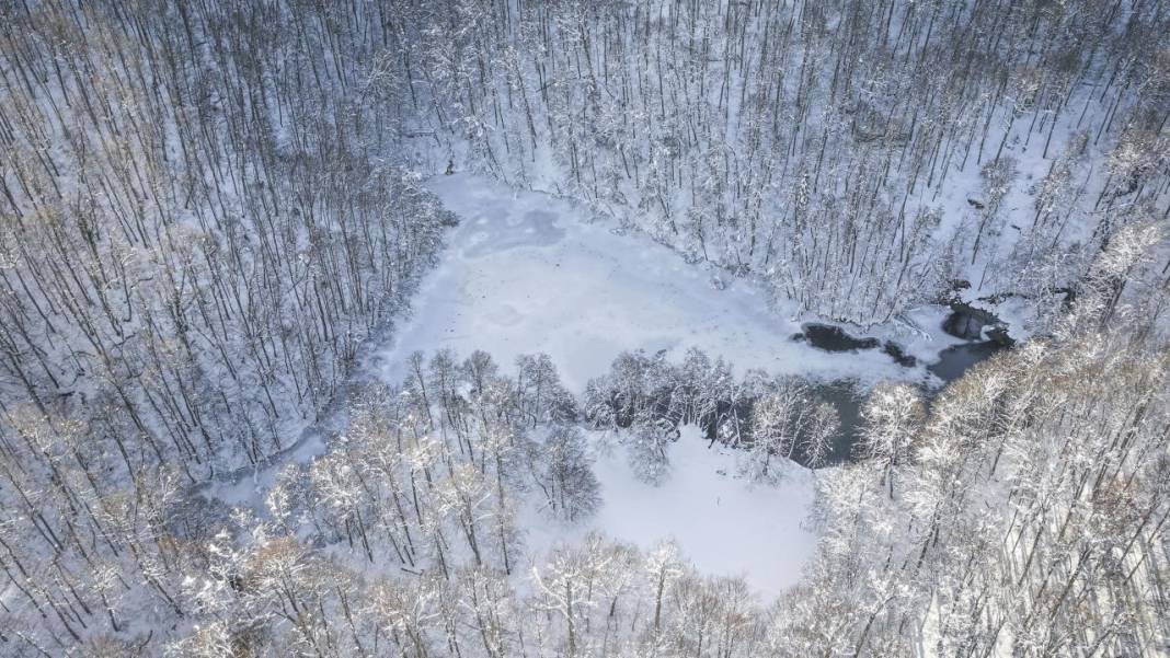 Yedigöller Milli Parkı beyaza büründü 9