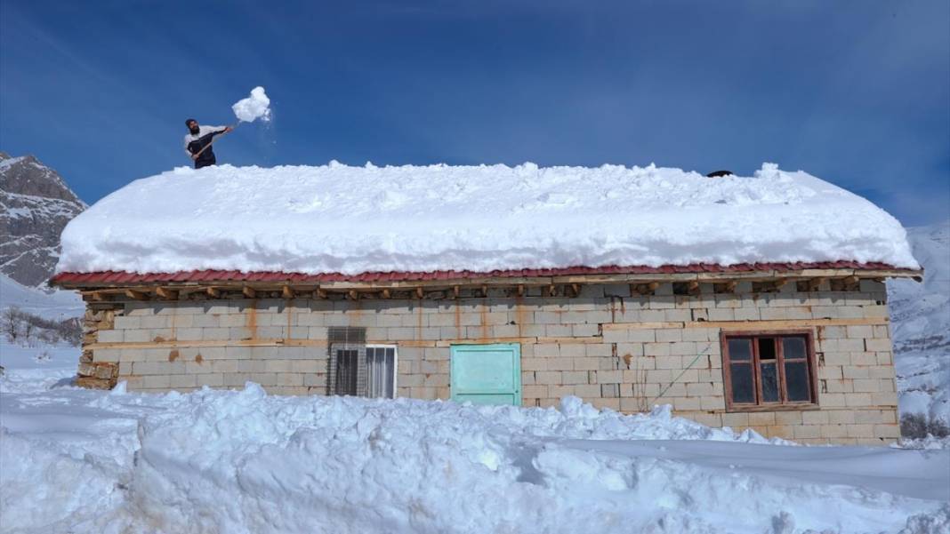 Kar kalınlığının yer yer 2 metreyi aştığı Hakkari'de besiciler zorlu mesaide 10