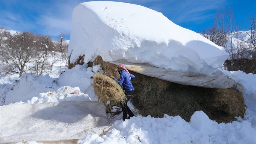Kar kalınlığının yer yer 2 metreyi aştığı Hakkari'de besiciler zorlu mesaide 13