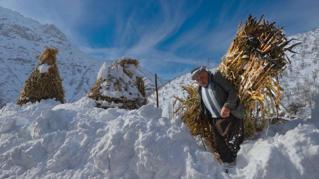 Kar kalınlığının yer yer 2 metreyi aştığı Hakkari'de besiciler zorlu mesaide 2
