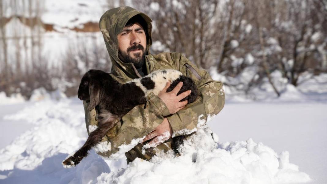 Kar kalınlığının yer yer 2 metreyi aştığı Hakkari'de besiciler zorlu mesaide 5
