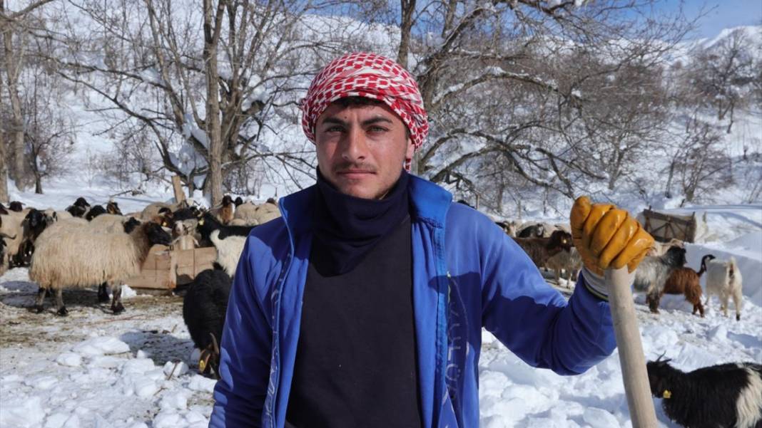 Kar kalınlığının yer yer 2 metreyi aştığı Hakkari'de besiciler zorlu mesaide 9