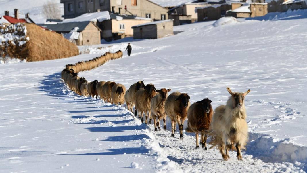 Çatak'ta kış böyle geçiyor 2
