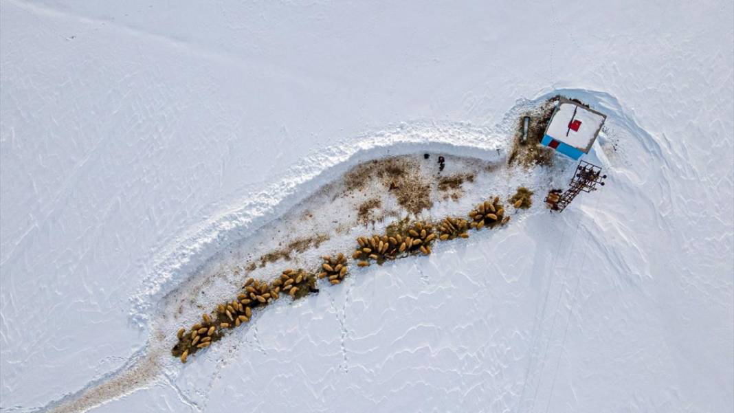 Çatak'ta kış böyle geçiyor 6