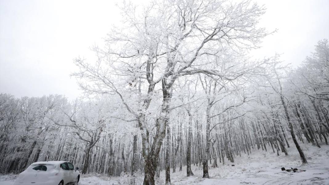 Karla kaplanan Istranca Ormanları'nda güzel görüntüler 1