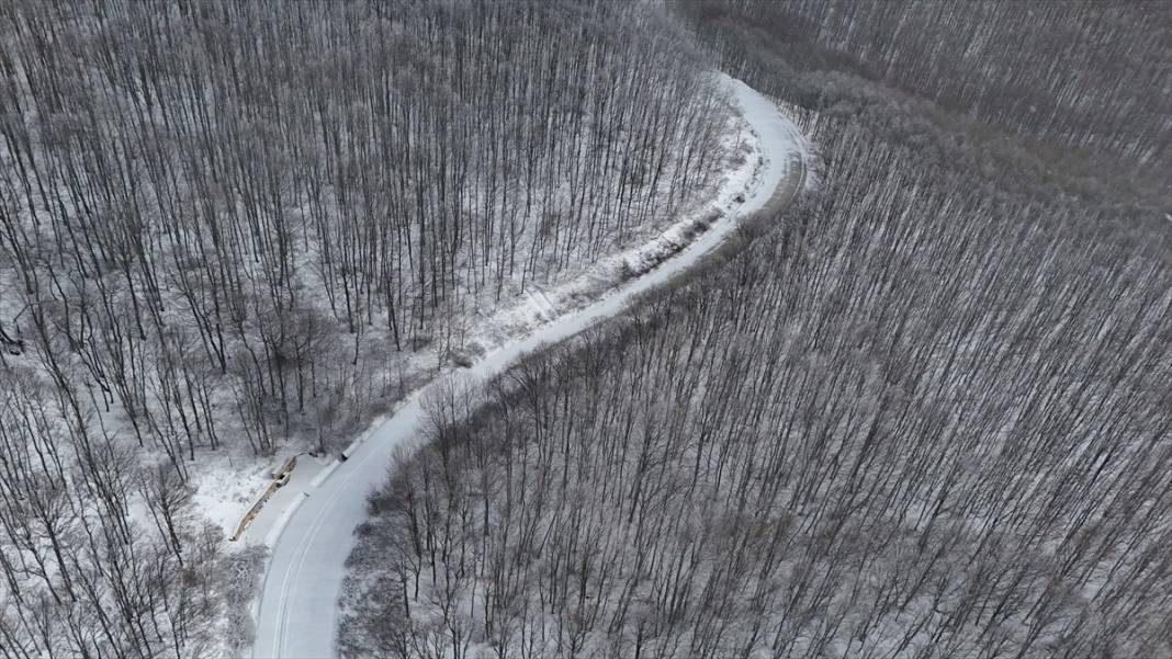 Karla kaplanan Istranca Ormanları'nda güzel görüntüler 10