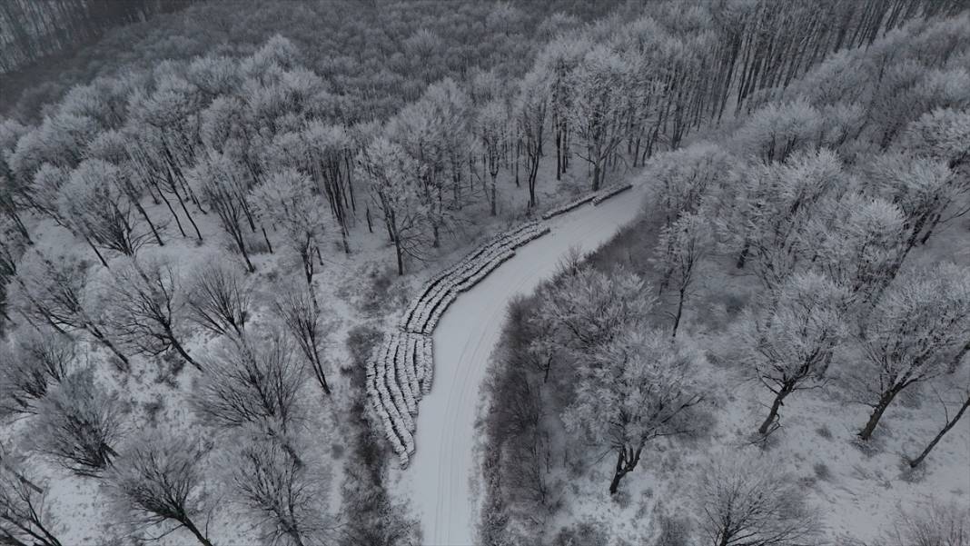 Karla kaplanan Istranca Ormanları'nda güzel görüntüler 11