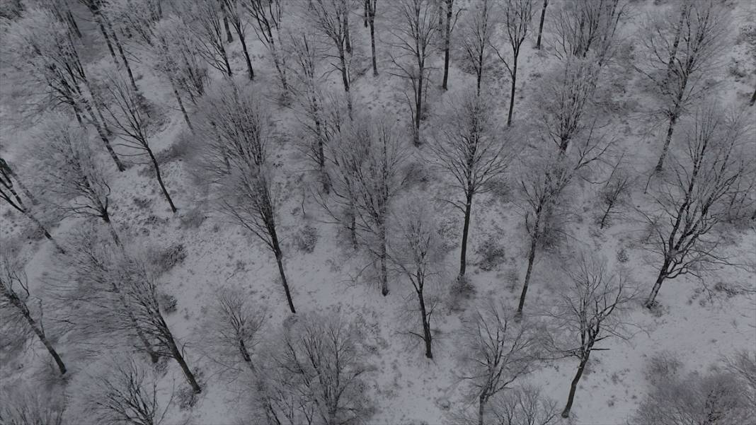Karla kaplanan Istranca Ormanları'nda güzel görüntüler 12