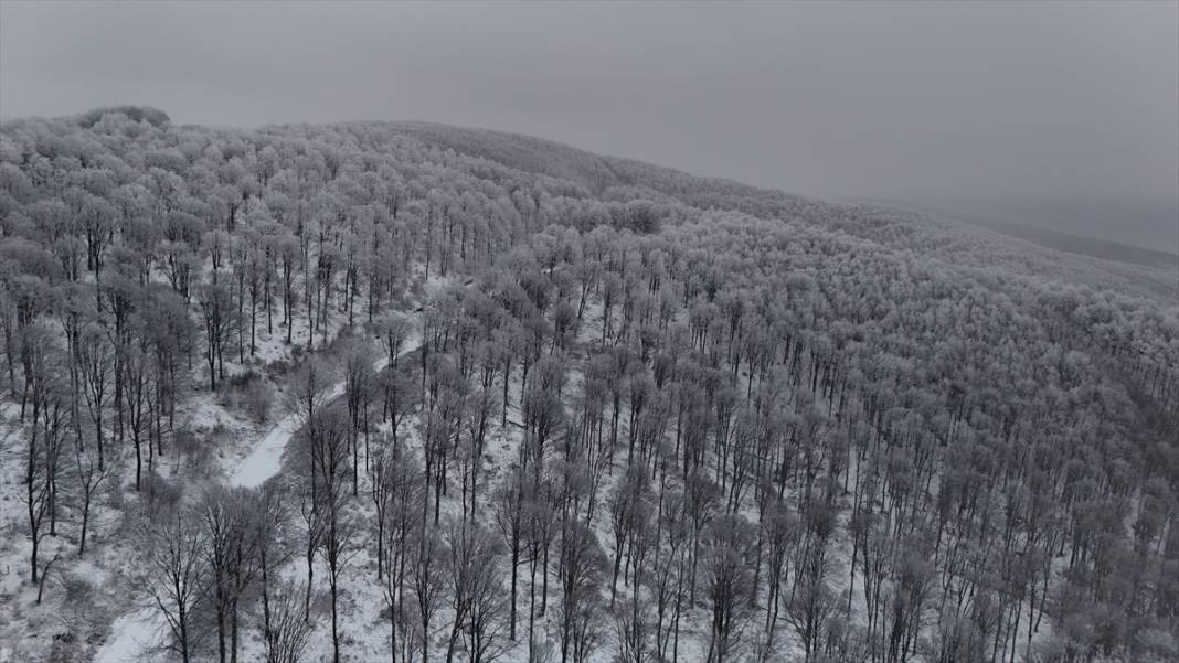 Karla kaplanan Istranca Ormanları'nda güzel görüntüler 13