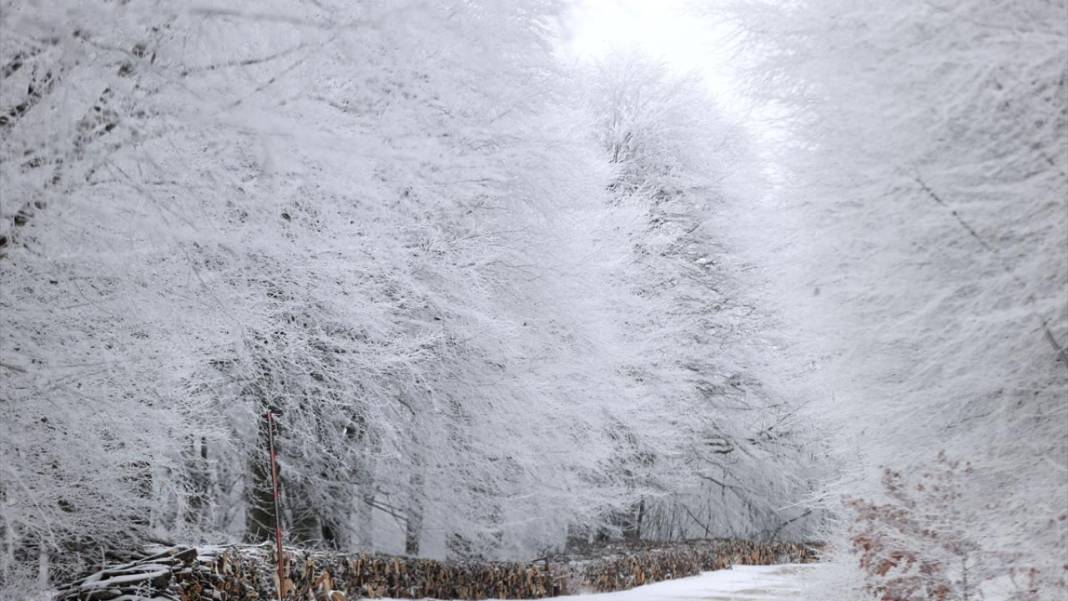 Karla kaplanan Istranca Ormanları'nda güzel görüntüler 2