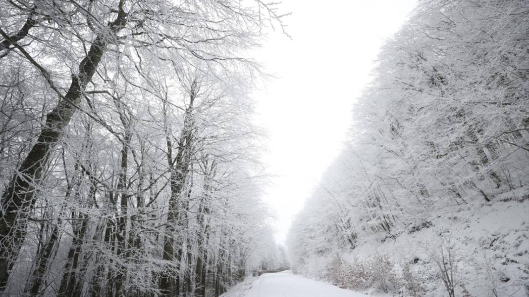 Karla kaplanan Istranca Ormanları'nda güzel görüntüler 3