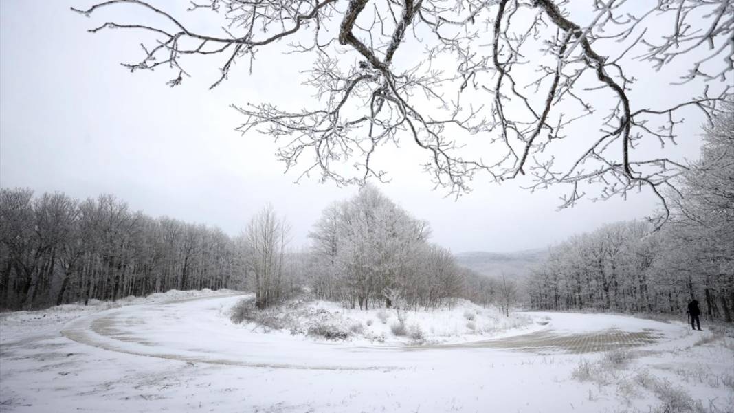 Karla kaplanan Istranca Ormanları'nda güzel görüntüler 4