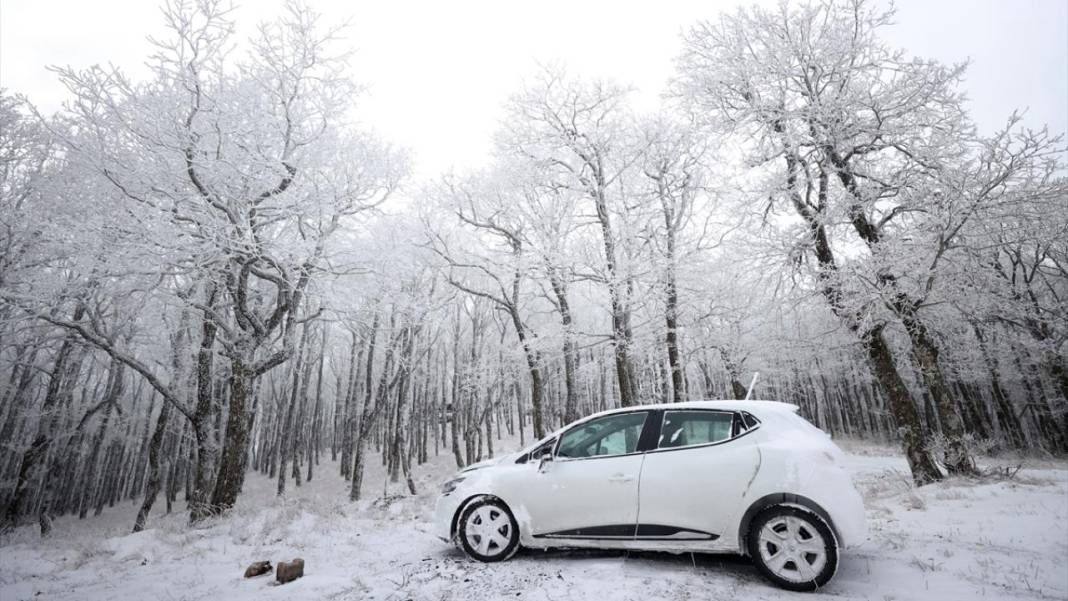 Karla kaplanan Istranca Ormanları'nda güzel görüntüler 5