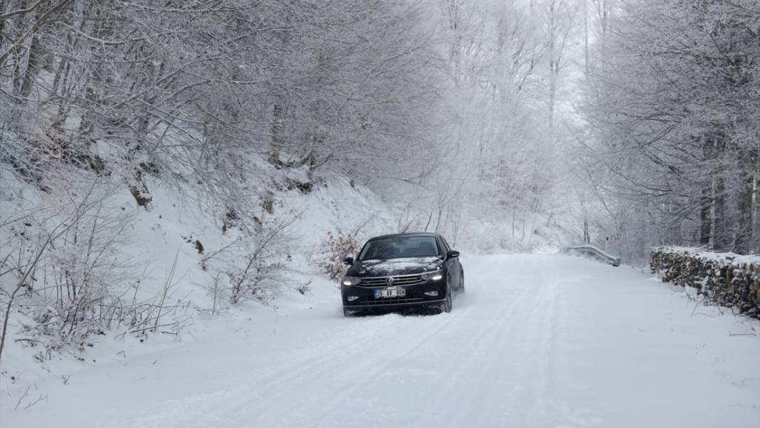 Karla kaplanan Istranca Ormanları'nda güzel görüntüler 6