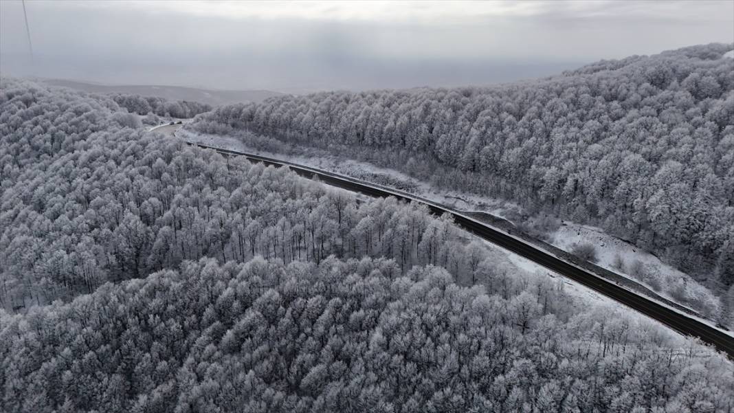 Karla kaplanan Istranca Ormanları'nda güzel görüntüler 7