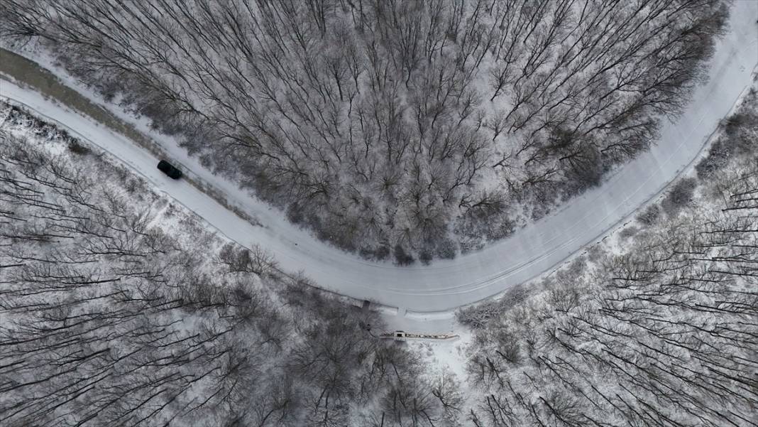 Karla kaplanan Istranca Ormanları'nda güzel görüntüler 8