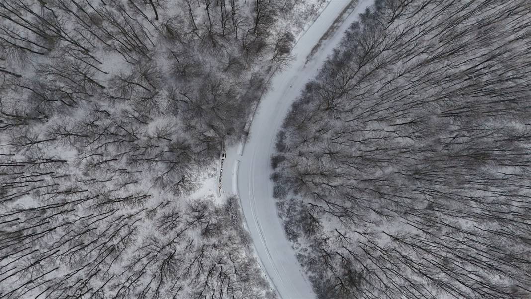 Karla kaplanan Istranca Ormanları'nda güzel görüntüler 9