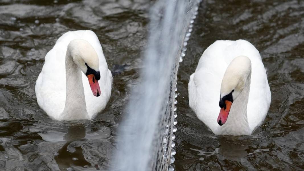 Yurtta beyaz rahmet kar yağışı ve soğuk hava etkili oluyor 6