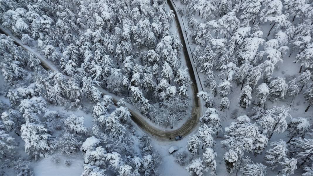 Karla kaplanan Yozgat Çamlık Milli Parkı ve Akdağmadeni ormanları 1