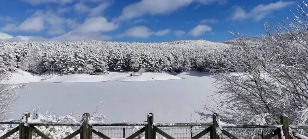 Karla kaplanan Yozgat Çamlık Milli Parkı ve Akdağmadeni ormanları 12
