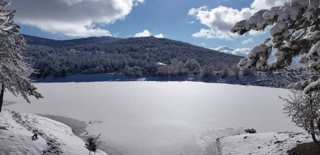 Karla kaplanan Yozgat Çamlık Milli Parkı ve Akdağmadeni ormanları 13