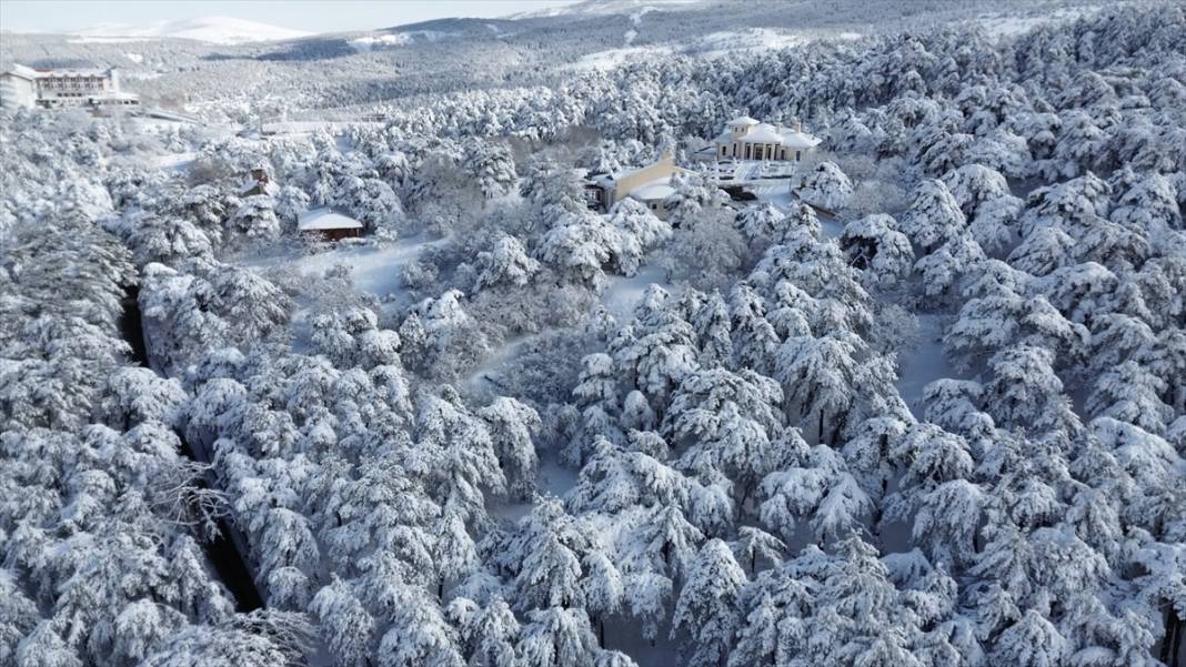 Karla kaplanan Yozgat Çamlık Milli Parkı ve Akdağmadeni ormanları 3