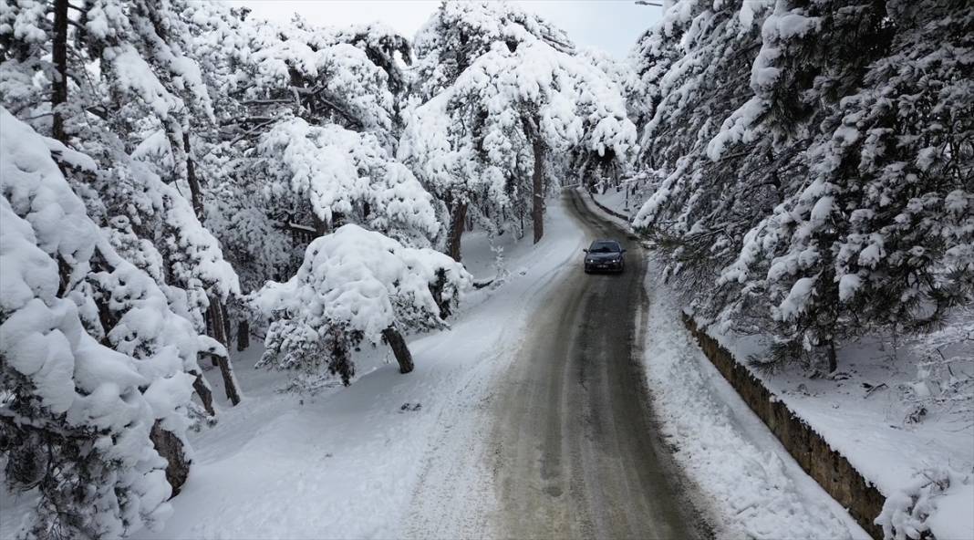 Karla kaplanan Yozgat Çamlık Milli Parkı ve Akdağmadeni ormanları 4