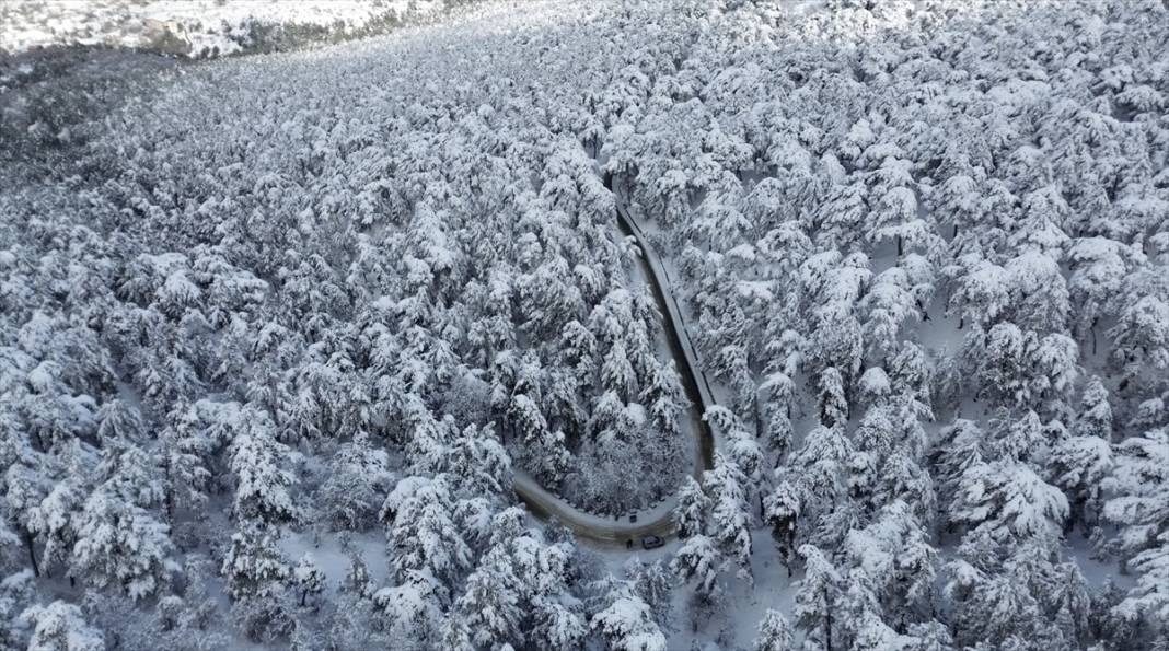Karla kaplanan Yozgat Çamlık Milli Parkı ve Akdağmadeni ormanları 5