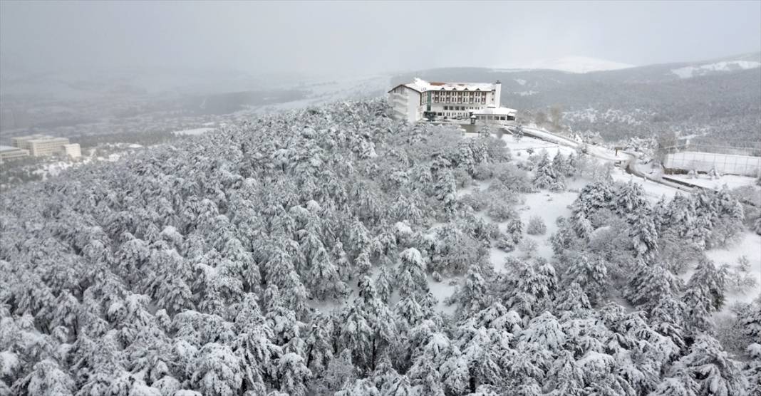 Karla kaplanan Yozgat Çamlık Milli Parkı ve Akdağmadeni ormanları 8