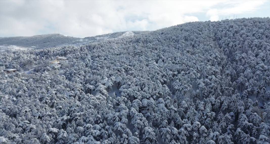 Karla kaplanan Yozgat Çamlık Milli Parkı ve Akdağmadeni ormanları 9