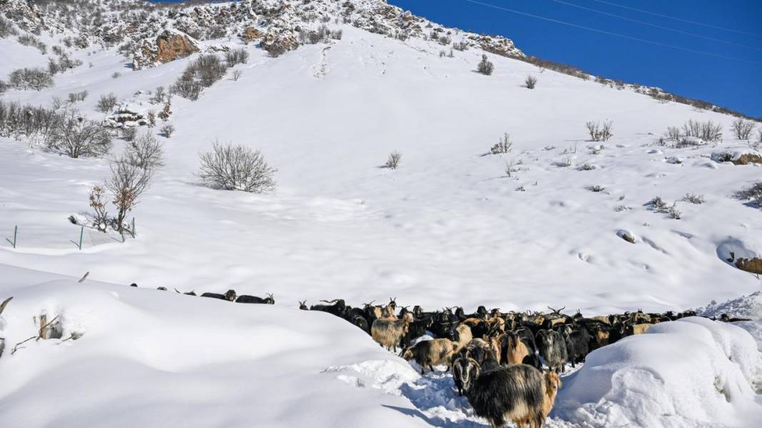 Van'ın Çatak ilçesinde kar 2 metreyi buldu, evler kayboldu 10