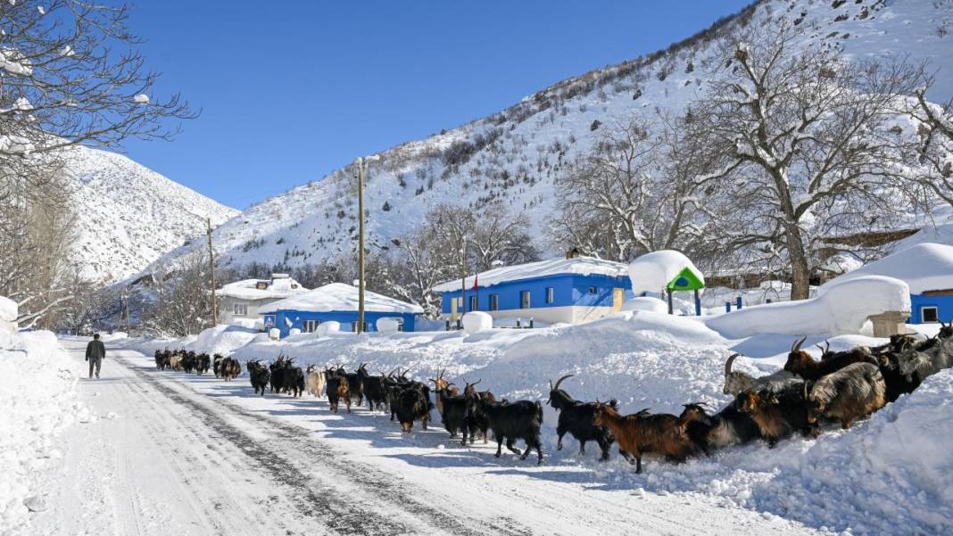 Van'ın Çatak ilçesinde kar 2 metreyi buldu, evler kayboldu 13