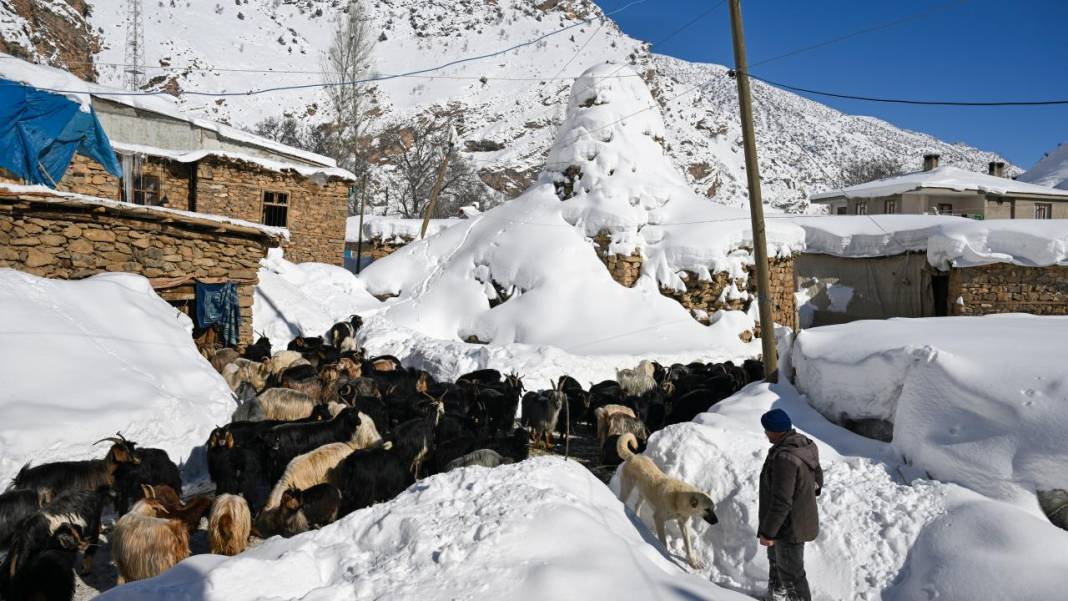 Van'ın Çatak ilçesinde kar 2 metreyi buldu, evler kayboldu 18
