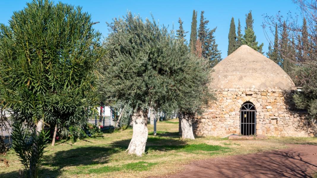 Antalya'nın kış ayı böyle: Begonvil Bahçesi renk katıyor 14