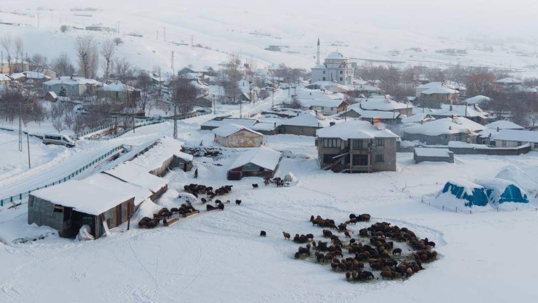 1940 metre yükseklikte besicilerin zorlu mesaisi 10