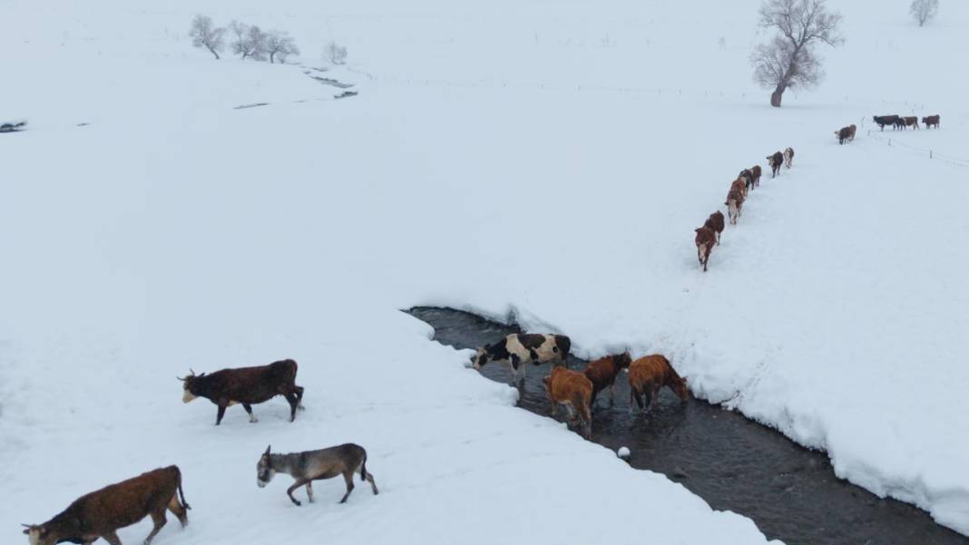 1940 metre yükseklikte besicilerin zorlu mesaisi 12