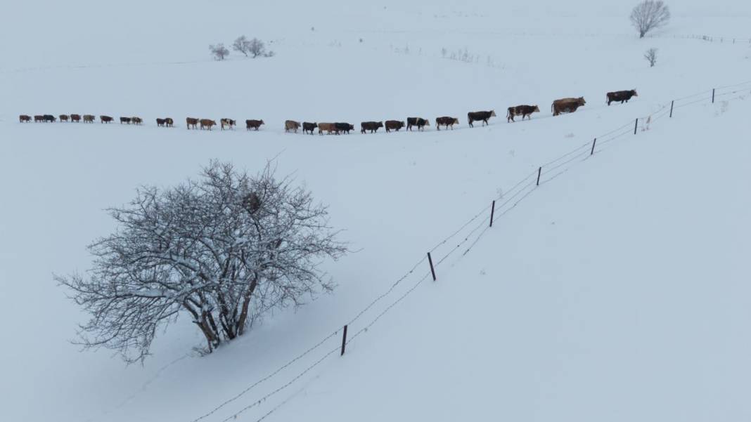 1940 metre yükseklikte besicilerin zorlu mesaisi 14