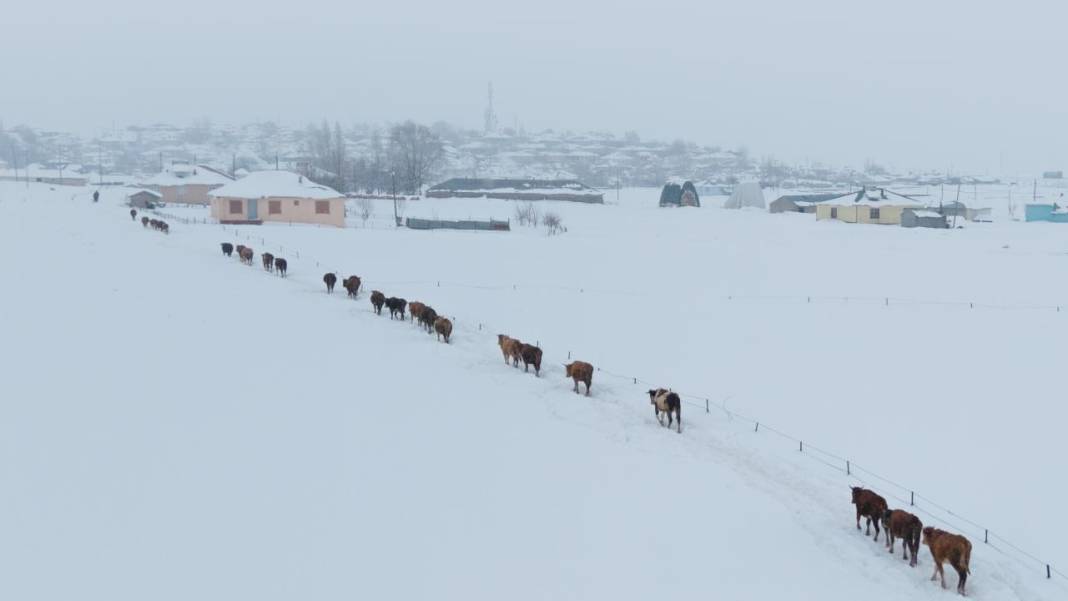 1940 metre yükseklikte besicilerin zorlu mesaisi 15