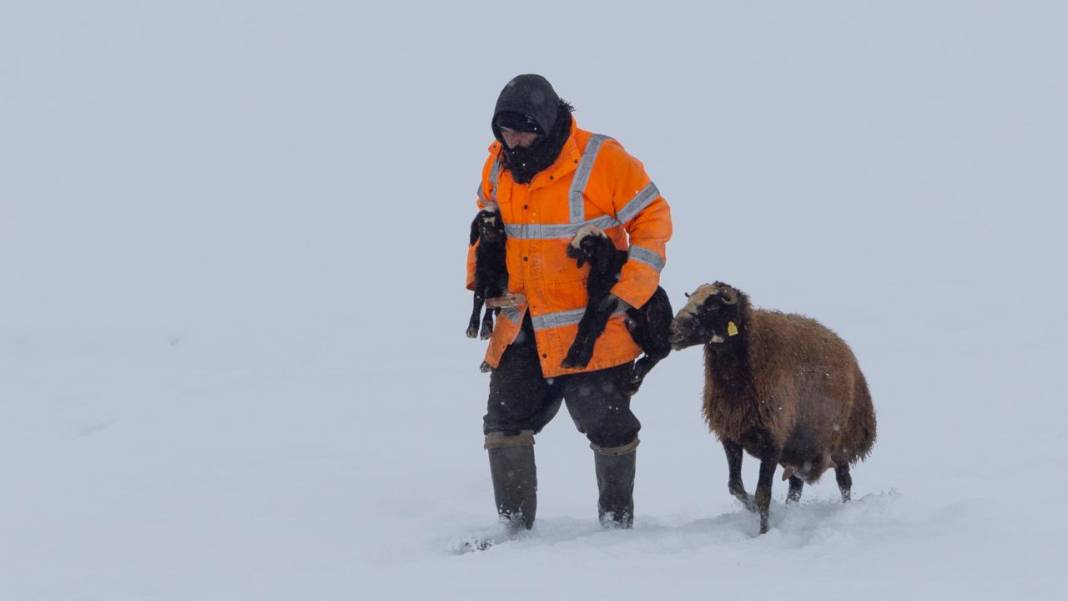 1940 metre yükseklikte besicilerin zorlu mesaisi 16