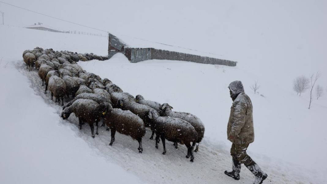 1940 metre yükseklikte besicilerin zorlu mesaisi 17