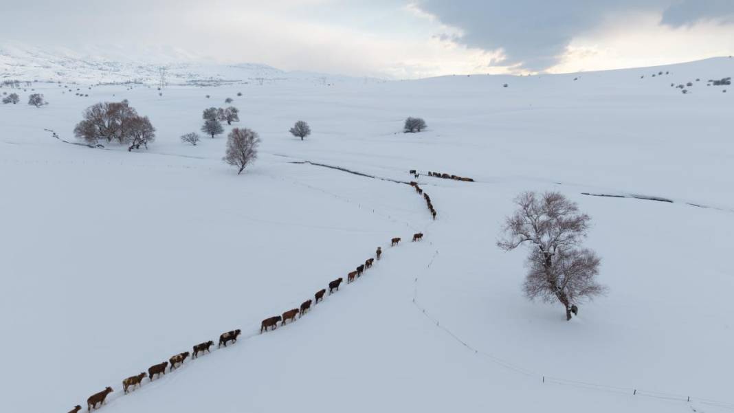 1940 metre yükseklikte besicilerin zorlu mesaisi 19