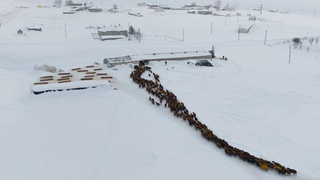 1940 metre yükseklikte besicilerin zorlu mesaisi 4