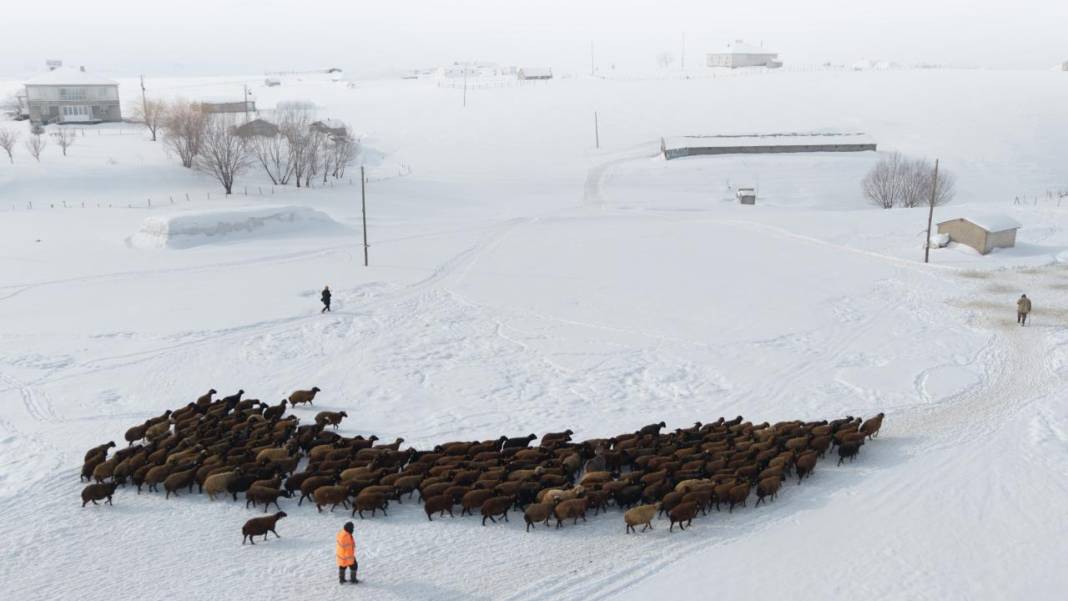 1940 metre yükseklikte besicilerin zorlu mesaisi 5
