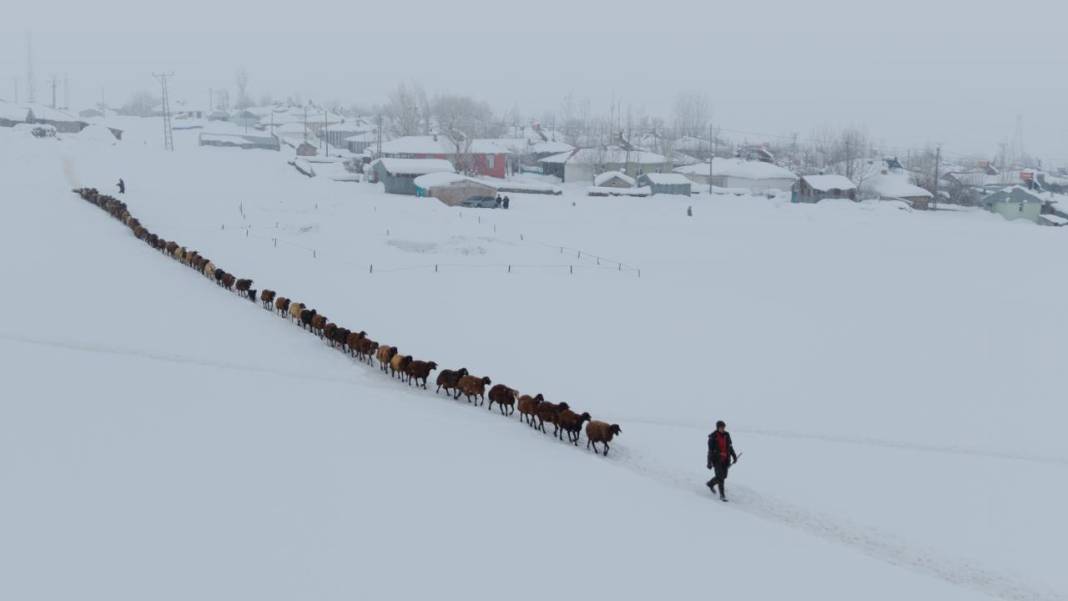 1940 metre yükseklikte besicilerin zorlu mesaisi 6