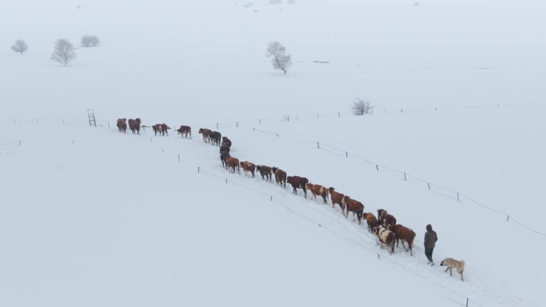 1940 metre yükseklikte besicilerin zorlu mesaisi 9