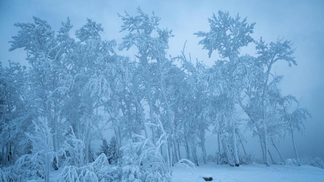Bakınca bile üşüten görüntüler: Rusya eksi 40 15
