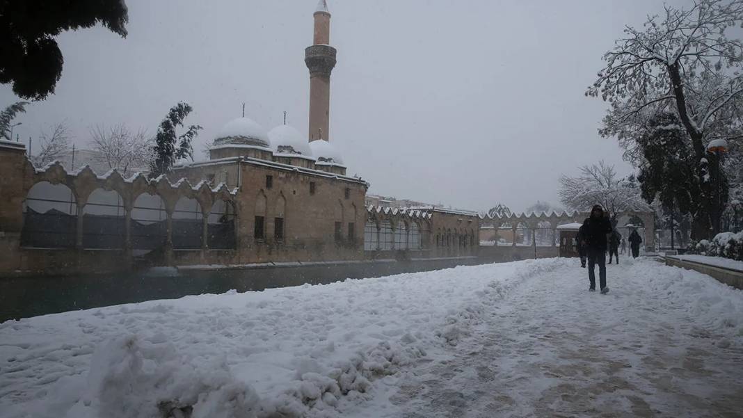 Balıklıgöl’de nadir görülen, 'beyaz rahmet kar' manzaraları 11