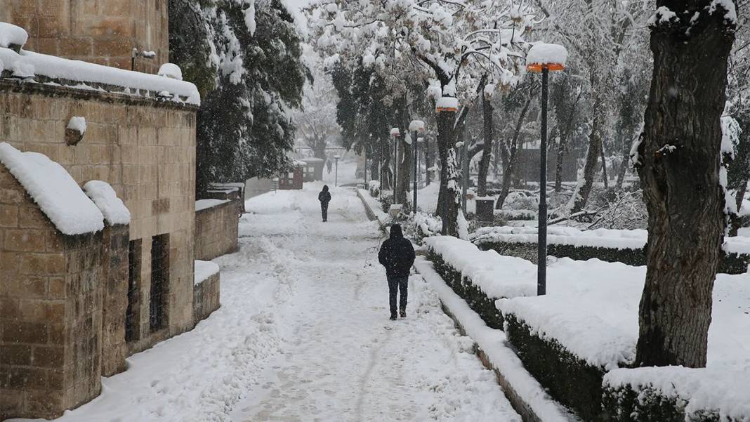 Balıklıgöl’de nadir görülen, 'beyaz rahmet kar' manzaraları 14