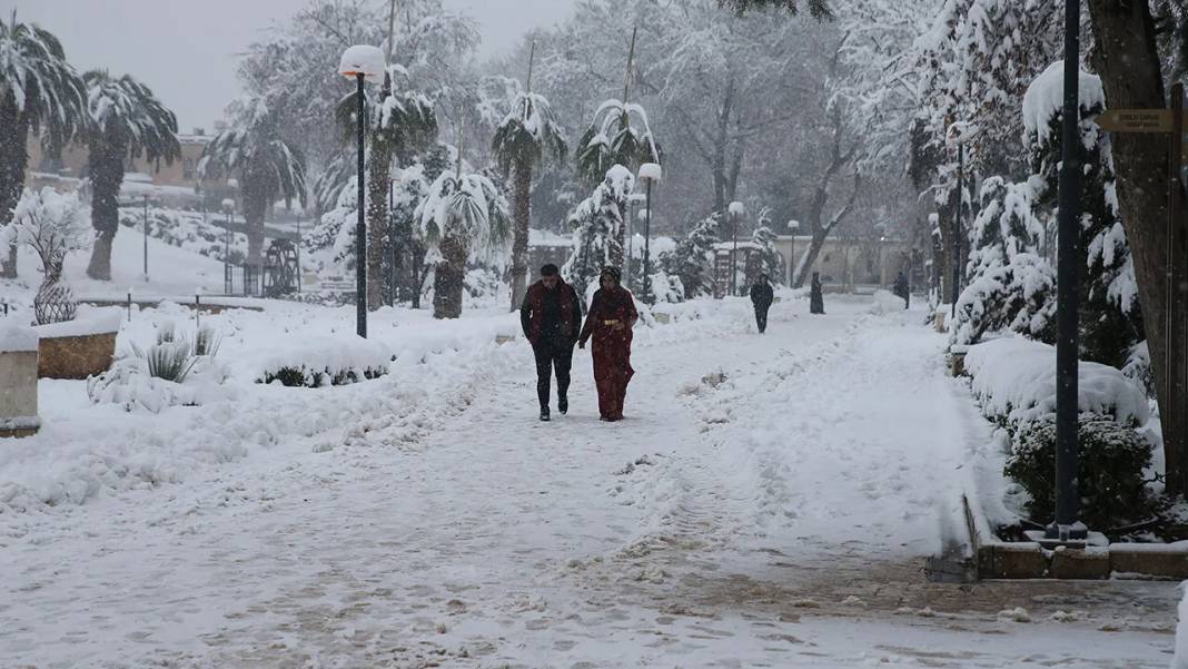 Balıklıgöl’de nadir görülen, 'beyaz rahmet kar' manzaraları 9